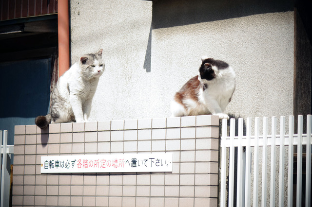 20140406_002.jpg