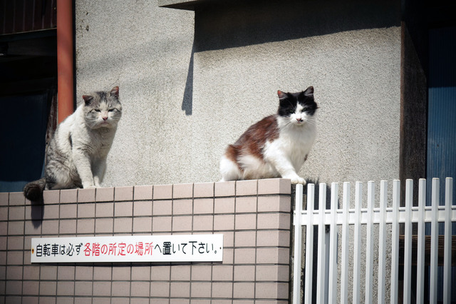 20140406_003.jpg