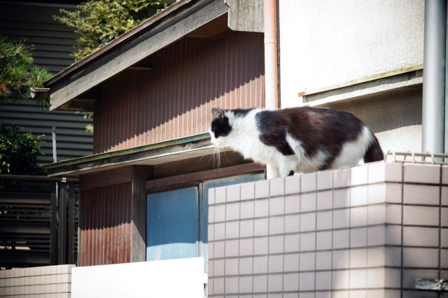 20140406_004.jpg