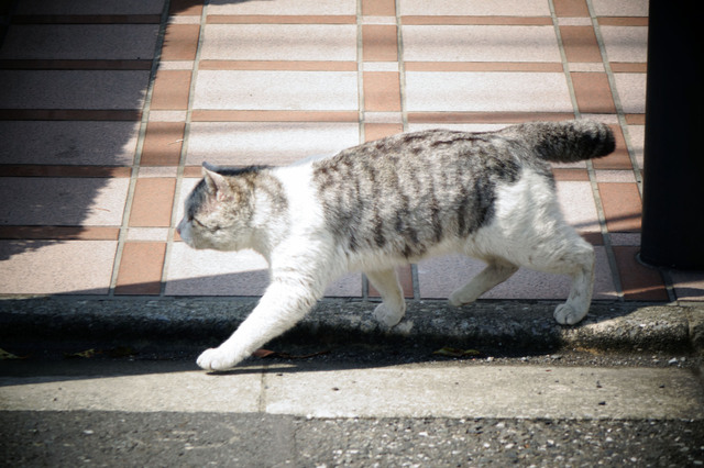20140406_006.jpg