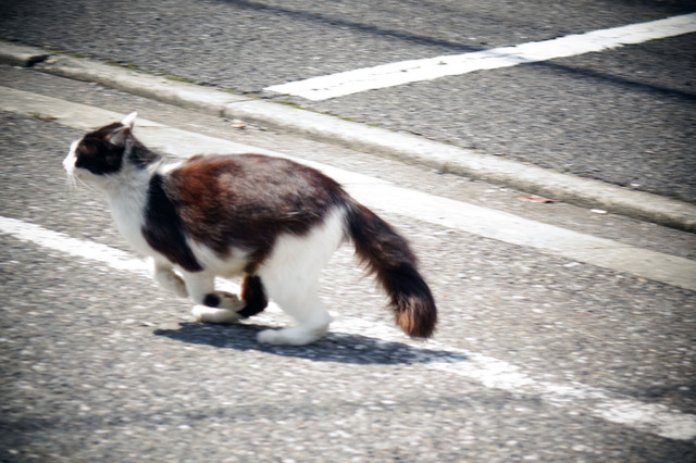20140406_007.jpg