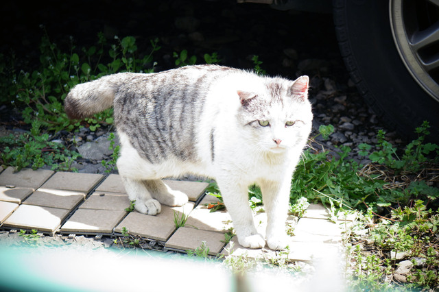 20140406_009.jpg