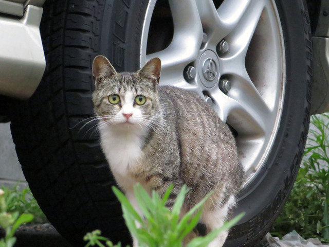 20140505_002.jpg