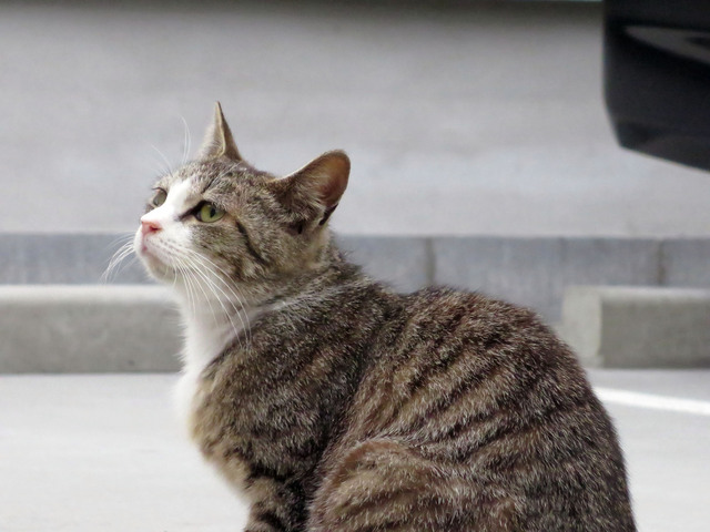 20140505_004.jpg