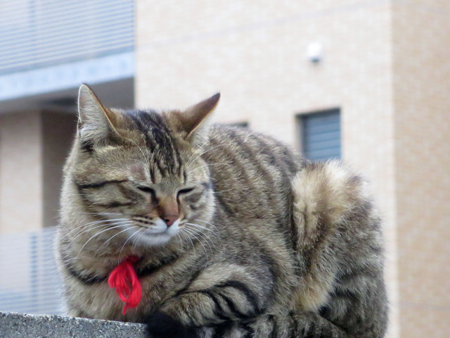20140505_005.jpg