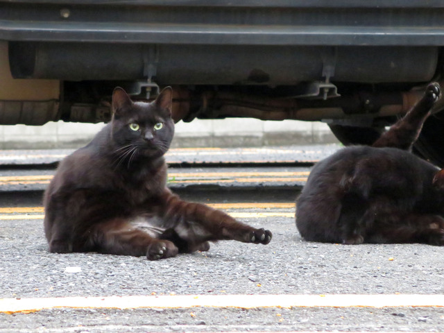 20140505_006.jpg