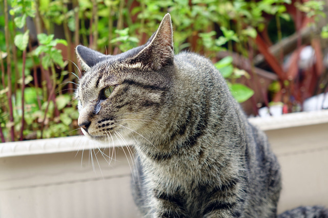 20140706_003.jpg