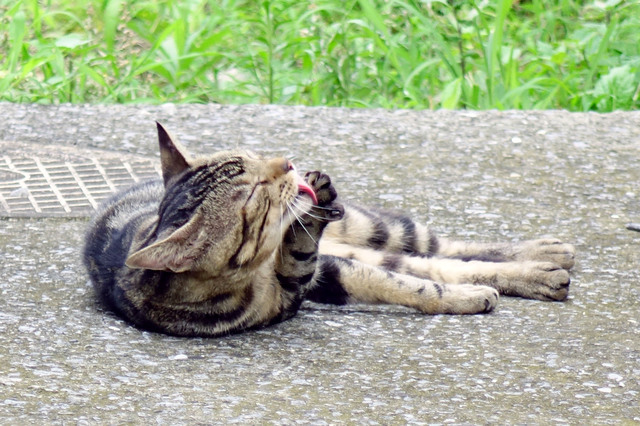 20140706_005.jpg