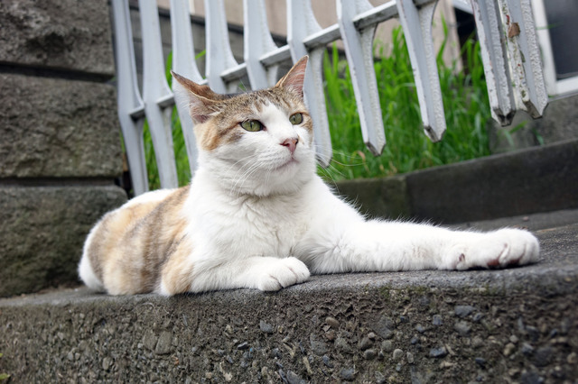 20140706_008.jpg