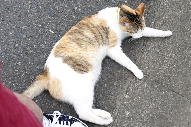 20140706_009.jpg