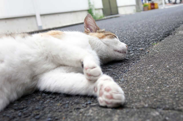 20140706_010.jpg