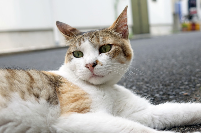 20140706_011.jpg