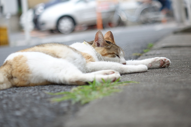 20140706_012.jpg