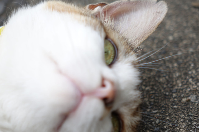 20140706_013.jpg