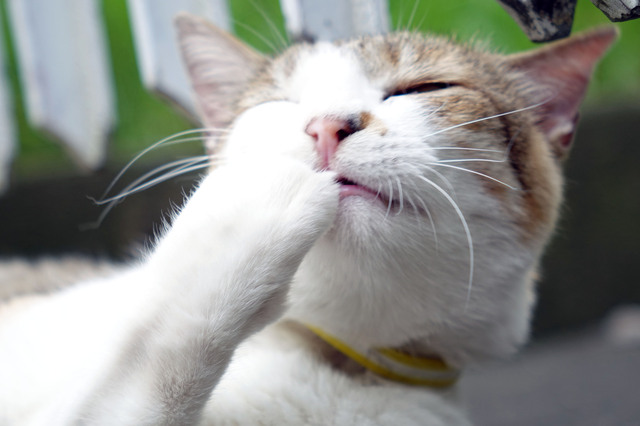 20140706_016.jpg