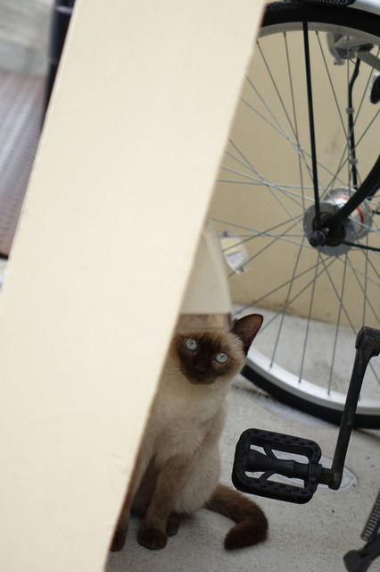 20140706_020.jpg