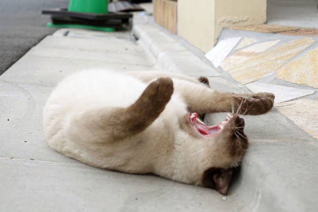 20140706_022.jpg