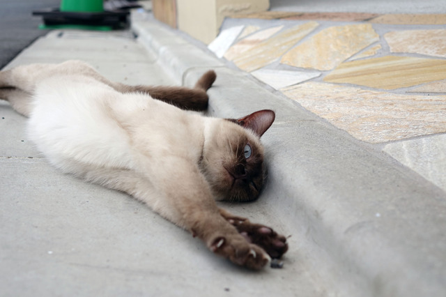 20140706_023.jpg