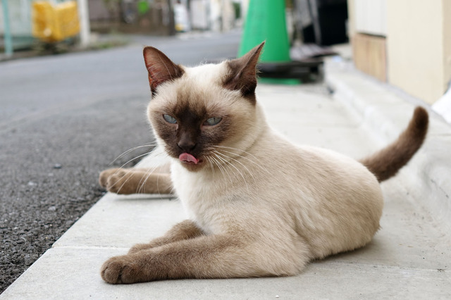 20140706_025.jpg