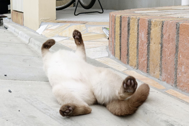 20140706_027.jpg