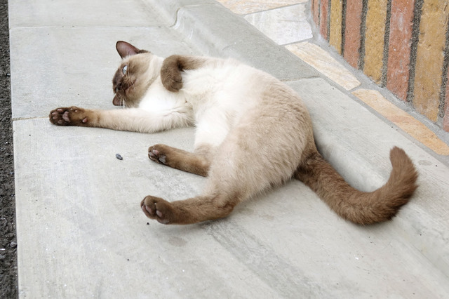 20140706_028.jpg