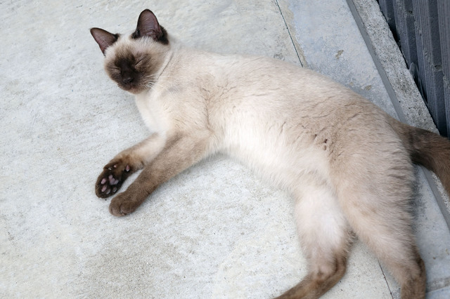 20140706_031.jpg
