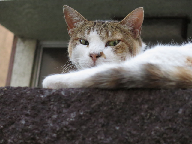 20140802_001.jpg