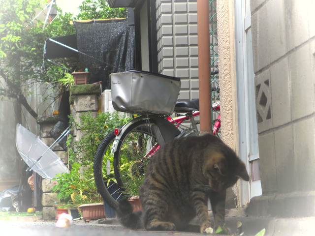 20140810_003.jpg