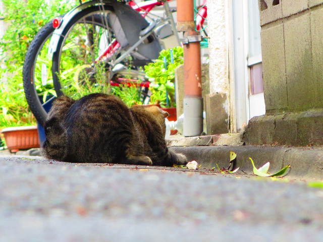 20140810_004.jpg