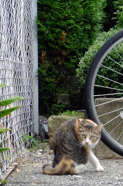 20141009_002.jpg