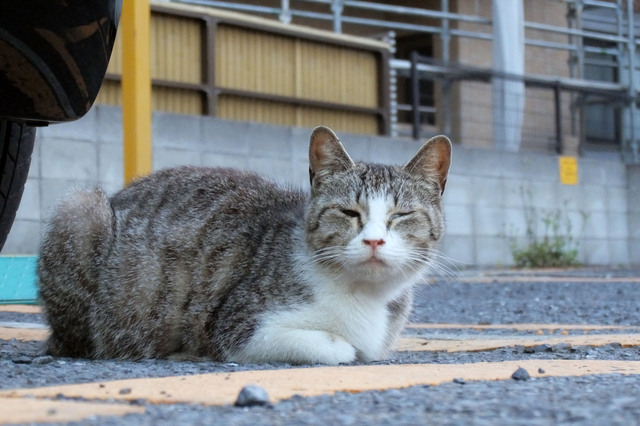 20150503_001.jpg