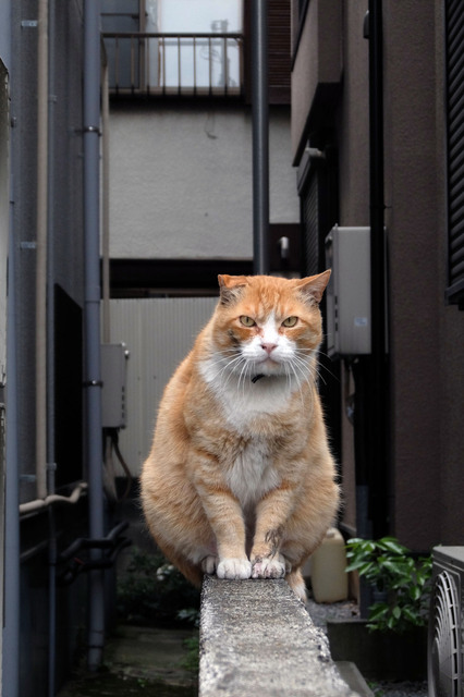 20150507_001.jpg