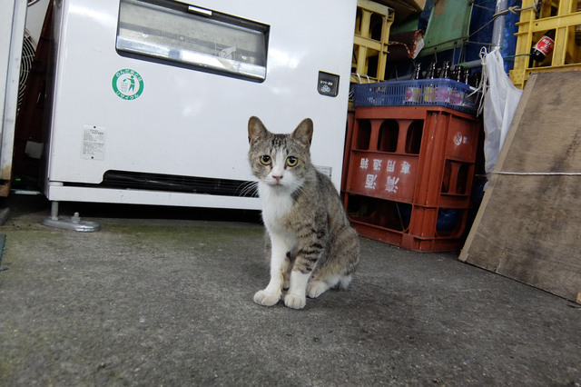 20150526_001.jpg