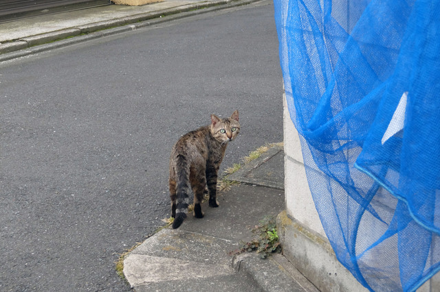 20150606_001.jpg