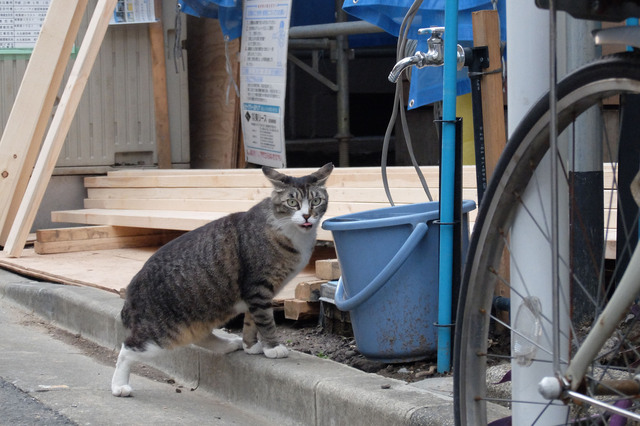 20150606_002.jpg