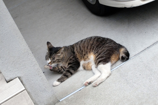 20150606_003.jpg