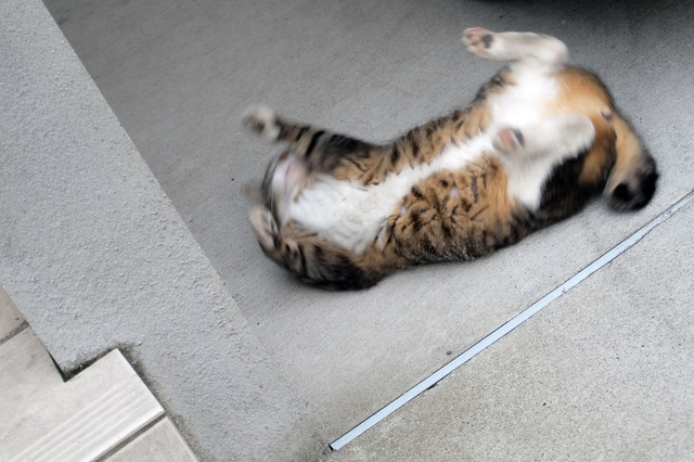 20150606_004.jpg