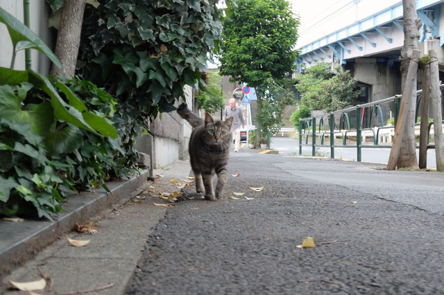 20150606_005.jpg