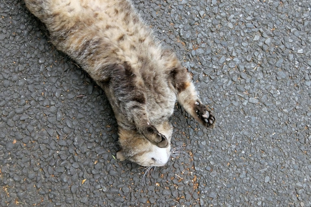 20150606_007.jpg