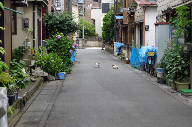 20150609_001.jpg