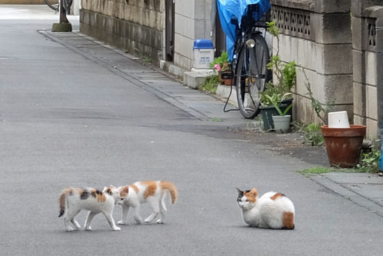 20150609_003.jpg