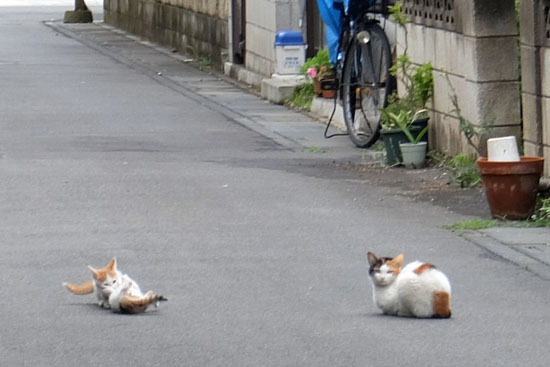 20150609_004.jpg