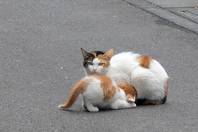 20150609_005.jpg