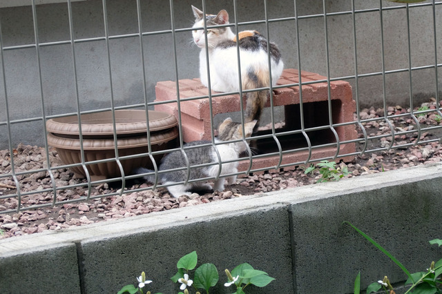 20150609_008.jpg