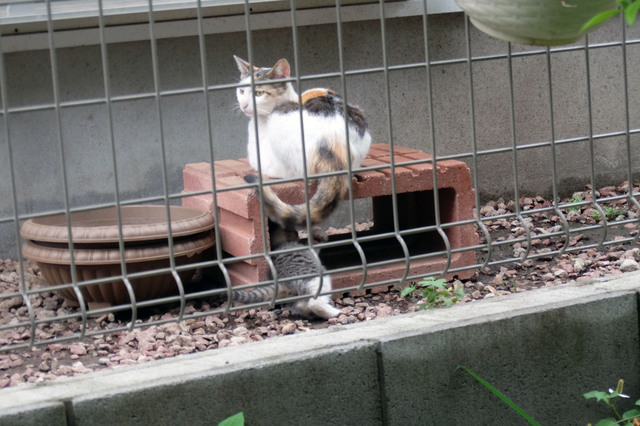20150609_009.jpg