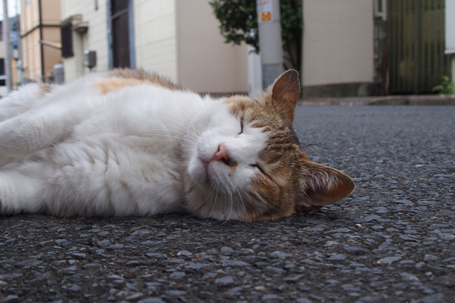 20150614_001.jpg