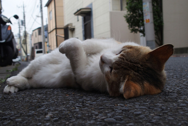 20150614_002.jpg