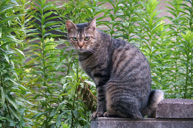 20150808_007.jpg