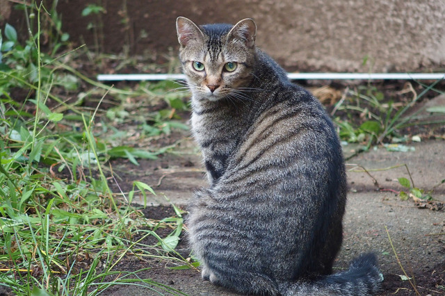 20150815_004.jpg