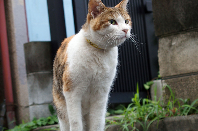 20150815_006.jpg